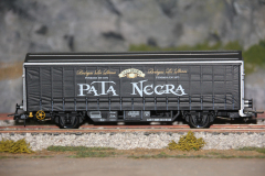 pata-negra