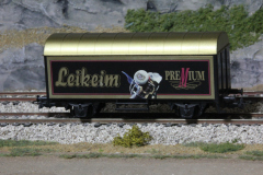 leikeim